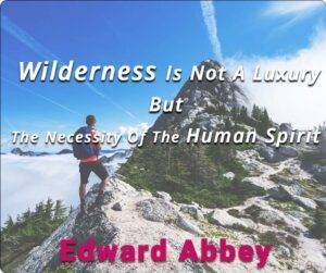 Inspirational camping quotes To Get You To Love Nature - Edward Abbey