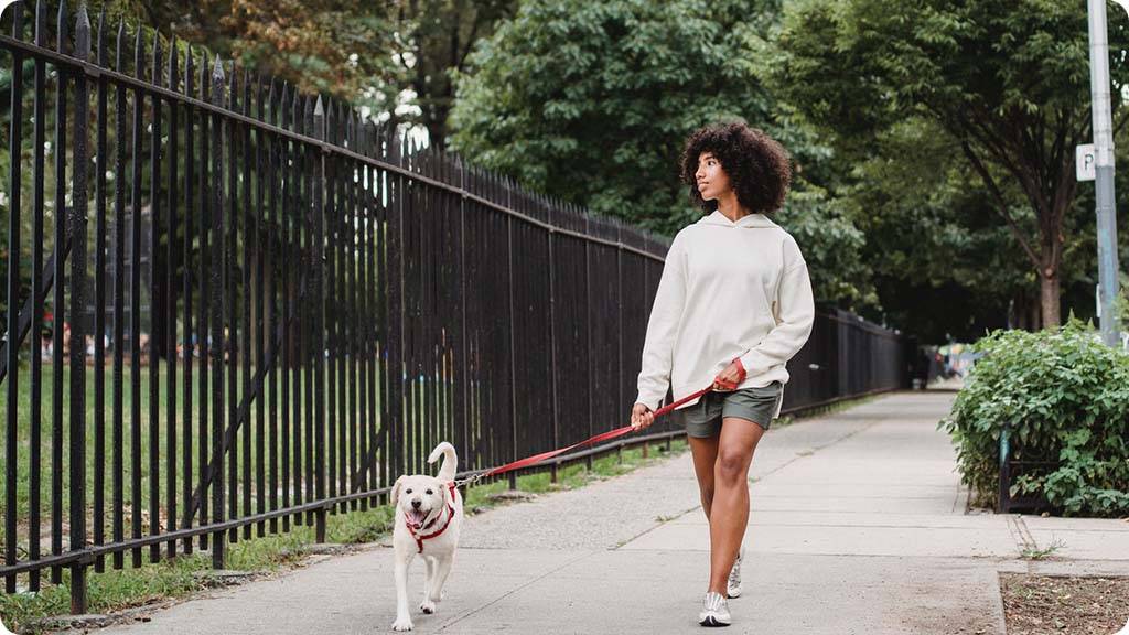 Woman in white shirt walking with a dog - 55 Best Hobbies for women of all ages