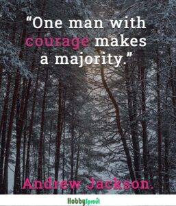 Motivational Quotes for men - Andrew Jackson