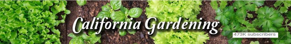 California Gardening Youtube channel - Best Youtube channel to learn Gardening