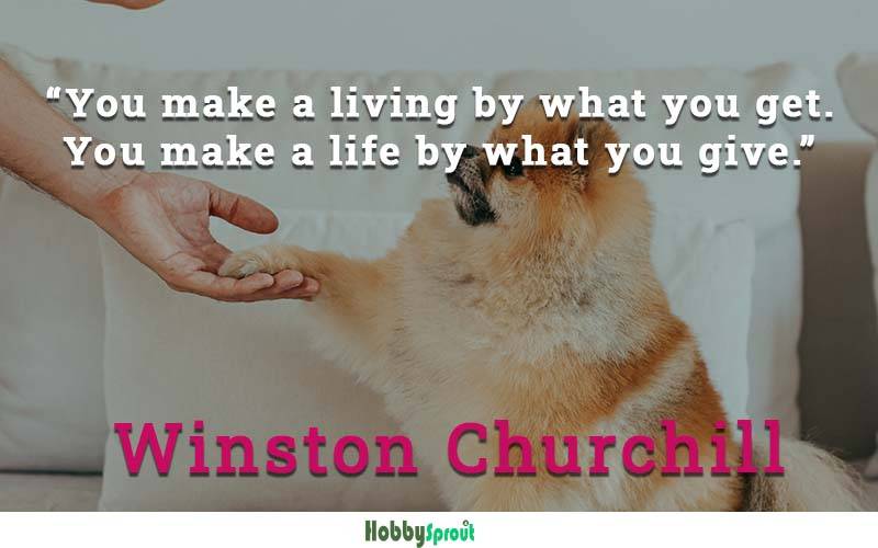 Volunteering Quotes - Volunteer Quotes by Winston Churchill