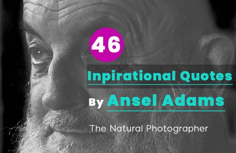 Ansel Adams Quotes Image